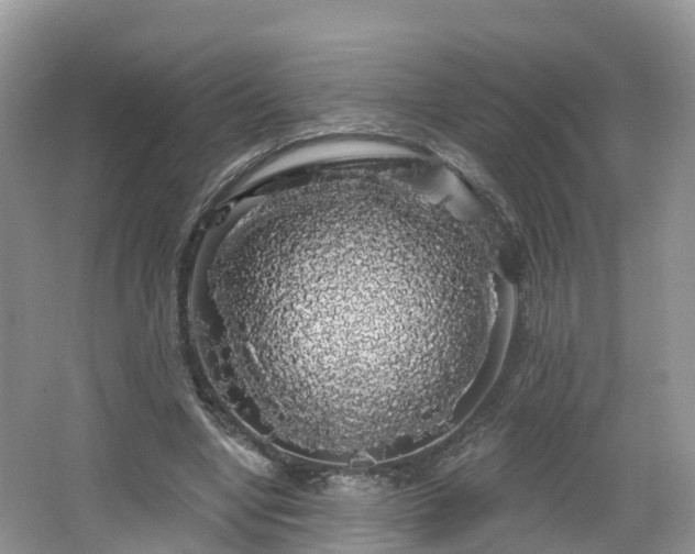 X0000064720442200602131228