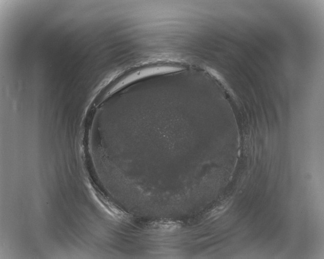 X0000064720443200602131228