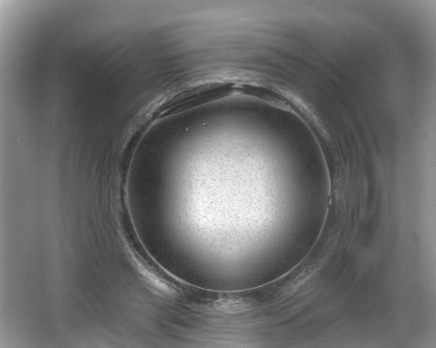 X0000064720445200602131228