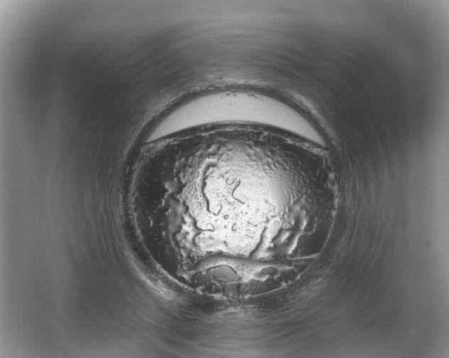 X0000064720447200602131228