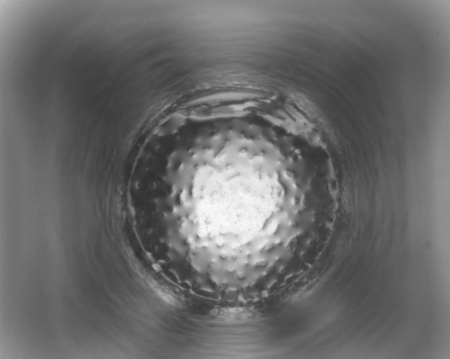 X0000064720449200602131228