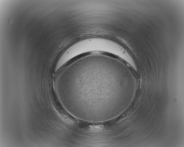 X0000064720451200602131228