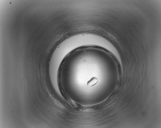 X0000064720452200602131228