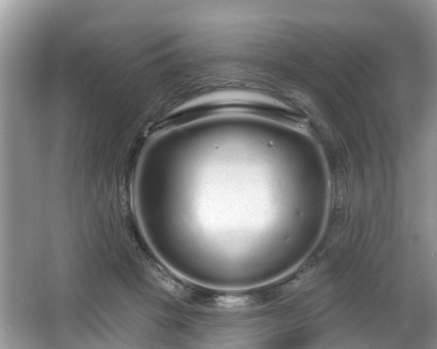 X0000064720457200602131229