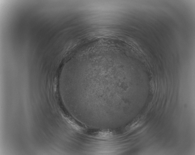 X0000064720458200602131229