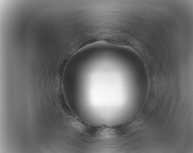 X0000064720463200602131229