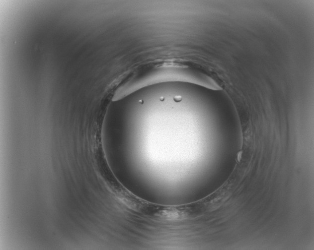 X0000064720464200602131229