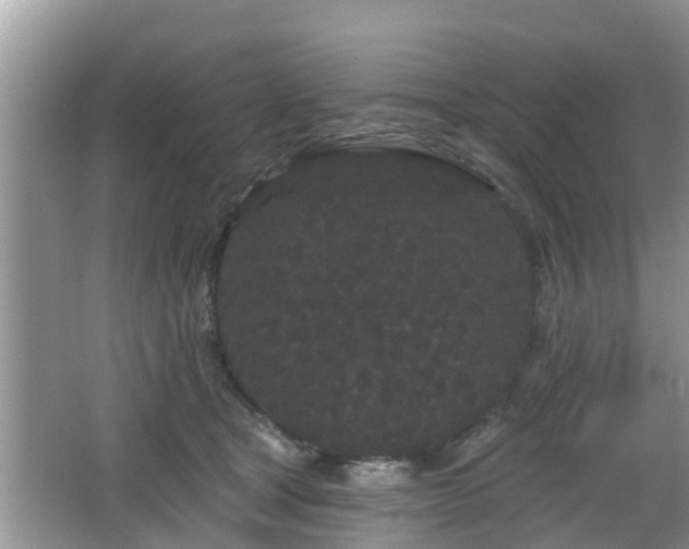 X0000064720465200602131229