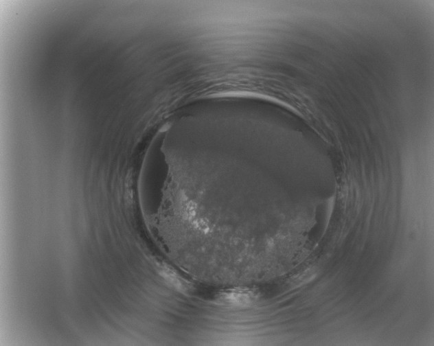 X0000064720466200602131229