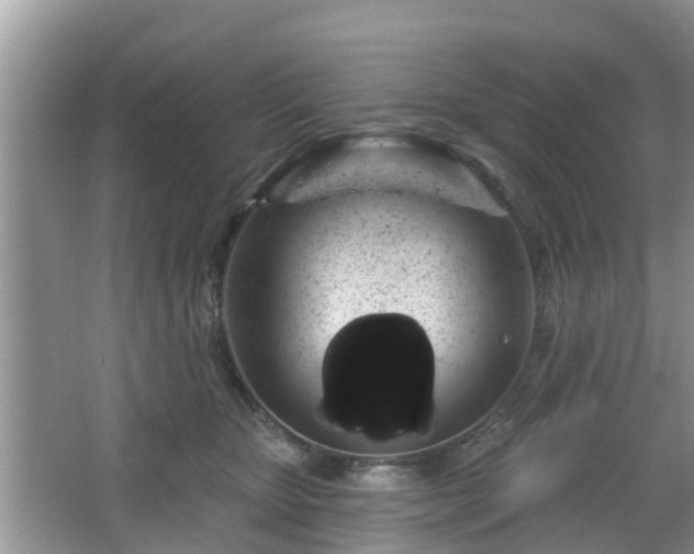 X0000064720467200602131229