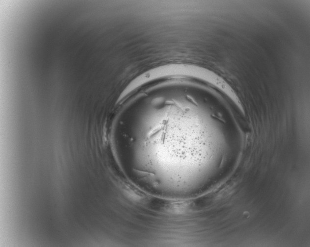 X0000064720479200602131229