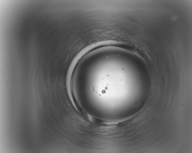 X0000064720480200602131229