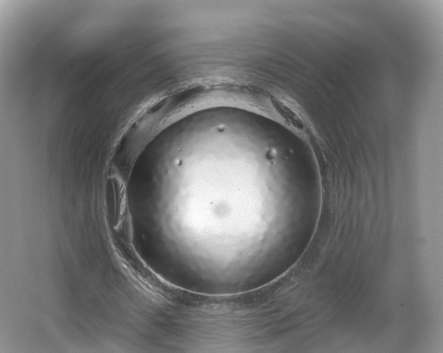 X0000064720482200602131228