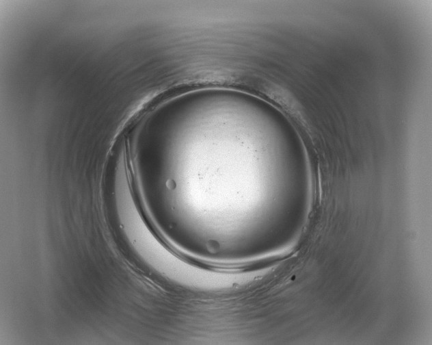 X0000064720483200602131228