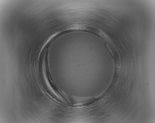 X0000064720484200602131228