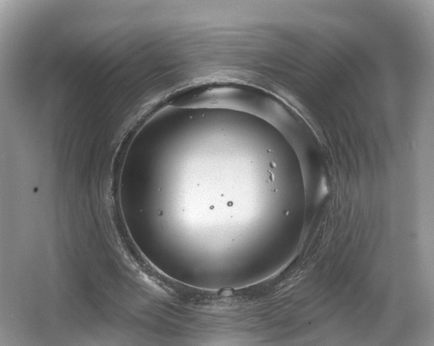 X0000064720485200602131228