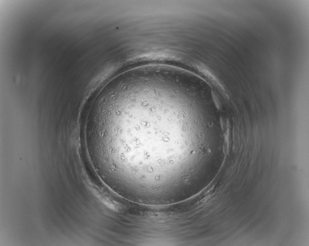 X0000064720486200602131228