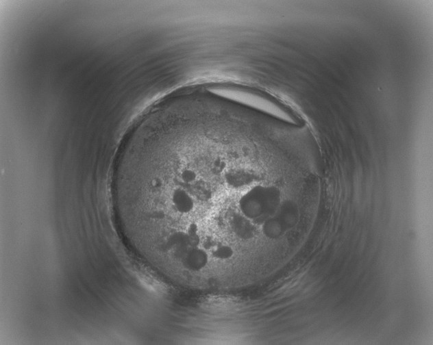 X0000064720487200602131228