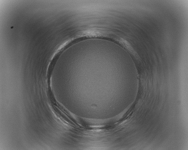 X0000064720488200602131228