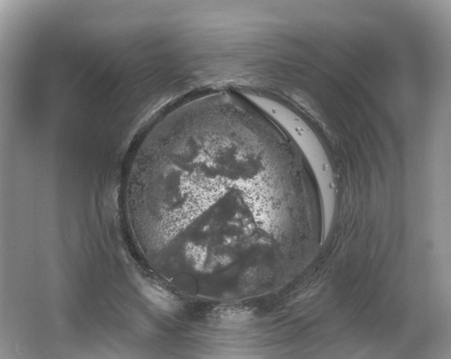 X0000064720491200602131228