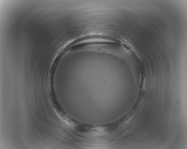 X0000064720492200602131228