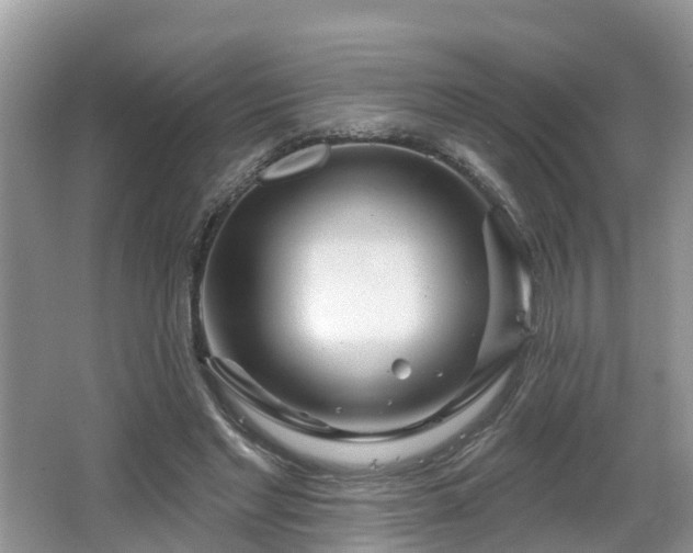 X0000064720493200602131228