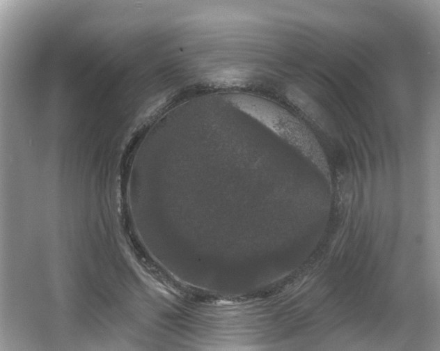 X0000064720494200602131228