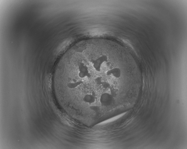 X0000064720495200602131228