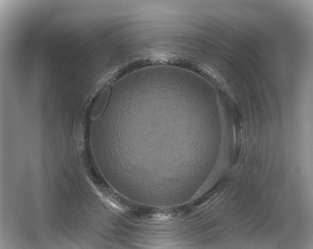 X0000064720496200602131228