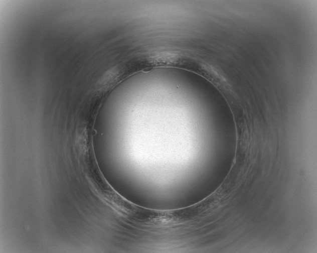 X0000064720498200602131228