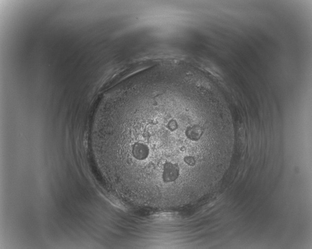 X0000064720499200602131228