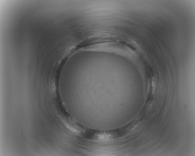 X0000064720500200602131228