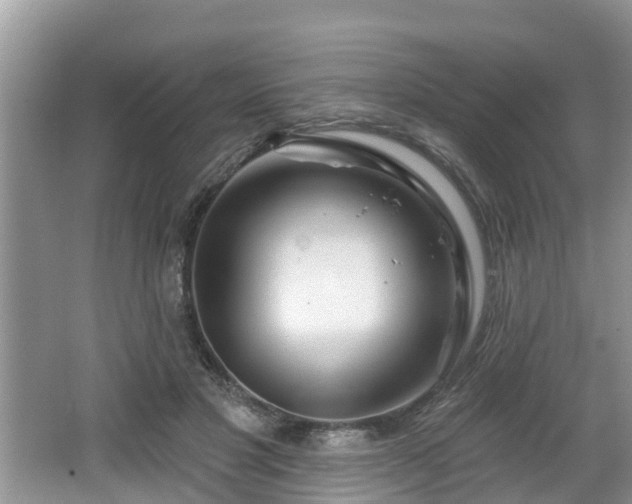 X0000064720501200602131228