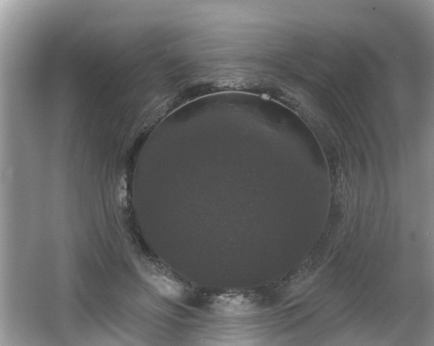 X0000064720502200602131228