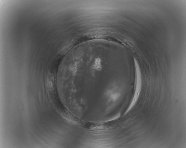 X0000064720503200602131228