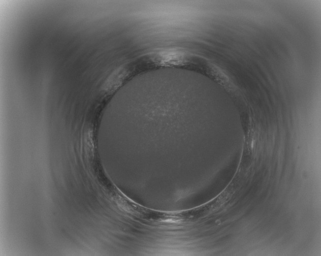 X0000064720506200602131228