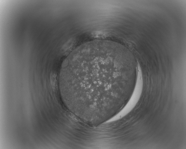 X0000064720511200602131228