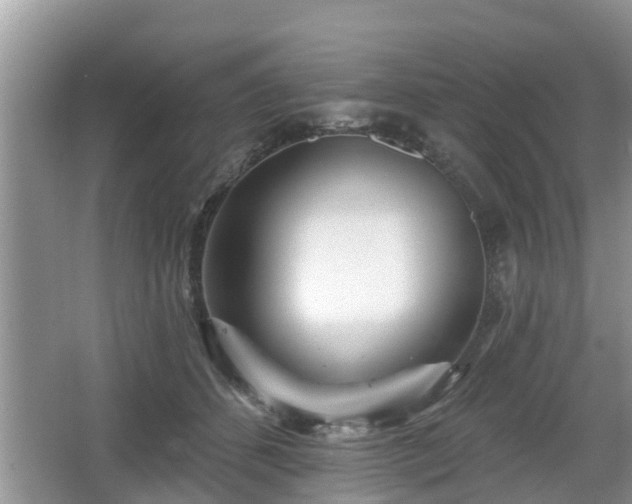 X0000064720512200602131228