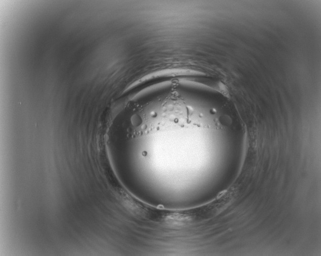 X0000064720515200602131228