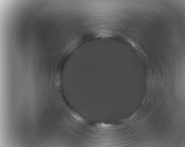 X0000064720517200602131228