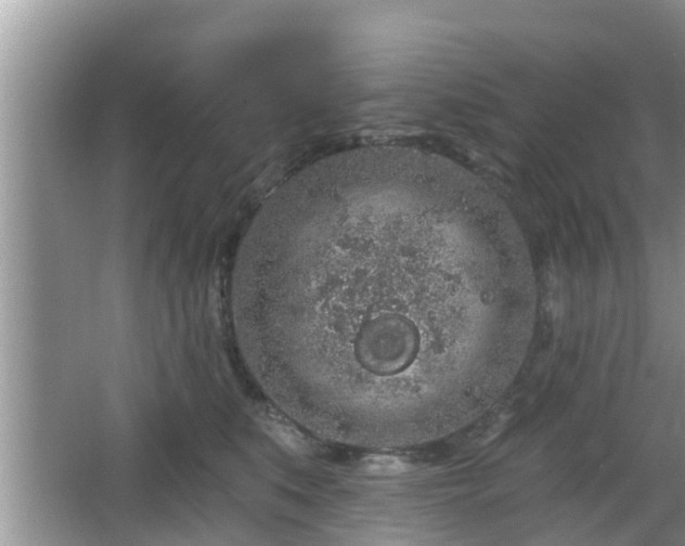 X0000064720519200602131227