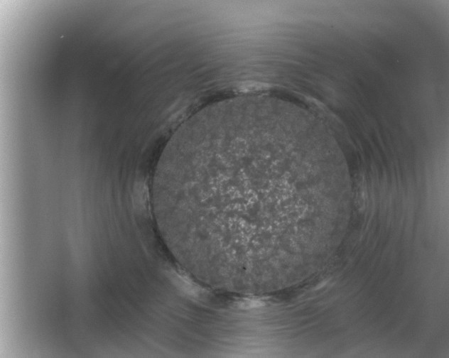 X0000064720523200602131227