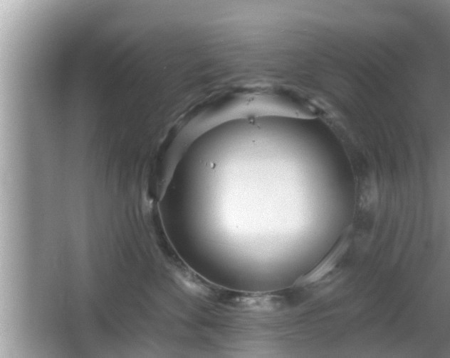 X0000064720524200602131227