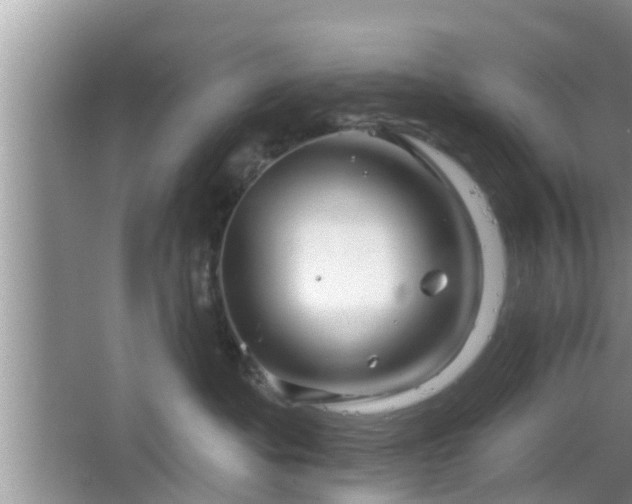 X0000064720525200602131227