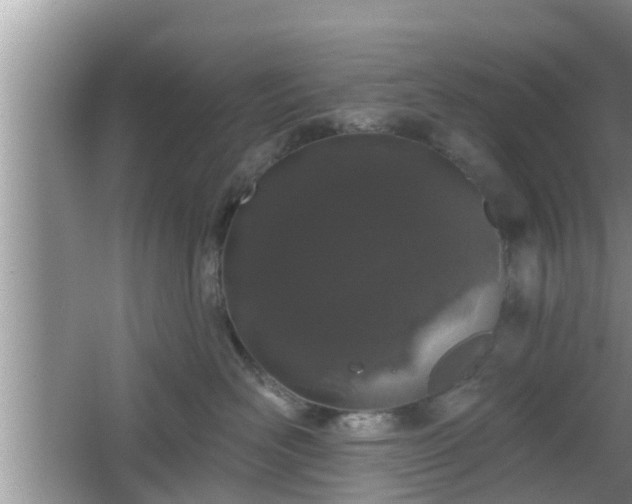 X0000064720526200602131227