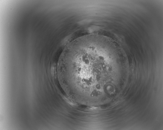 X0000064720527200602131227