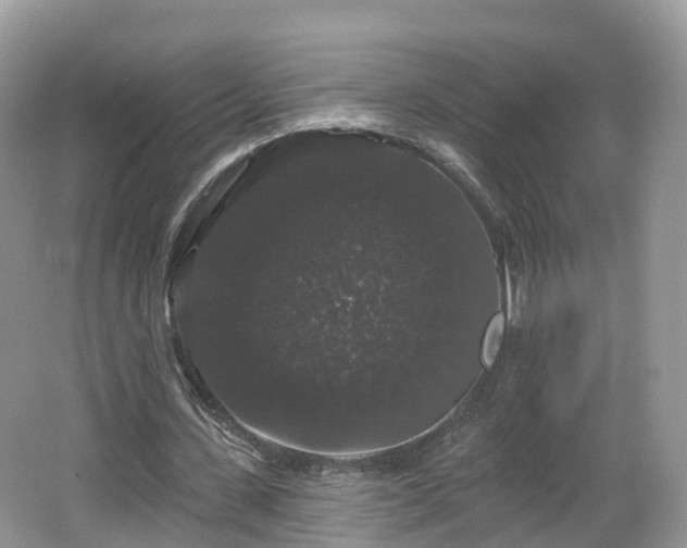 X0000064720531200602131227