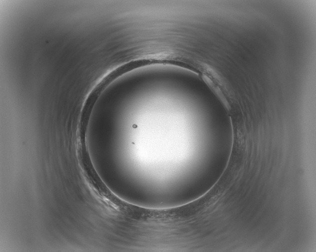 X0000064720532200602131227