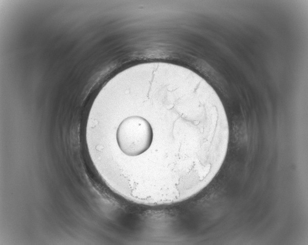 X0000064720534200602131227