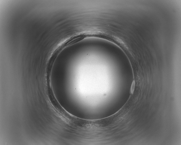 X0000064720535200602131227